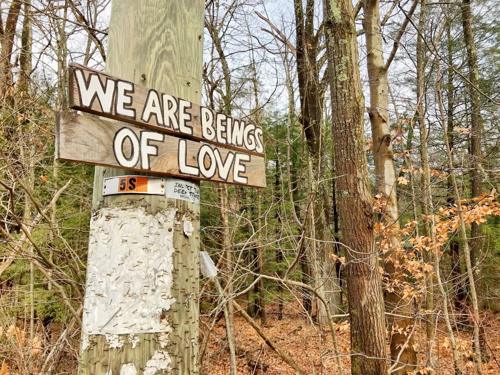 Woods are shown with a telephone pole in the foreground. The telephone pole has a hand-painted sign on it that reads "WE ARE BEINGS OF LOVE." The lettering is white with black outline. The woods behind the pole and sign do not have many leaves, but some green pine trees can be seen. There is one small tree with brown leaves still dangling from its branches. 